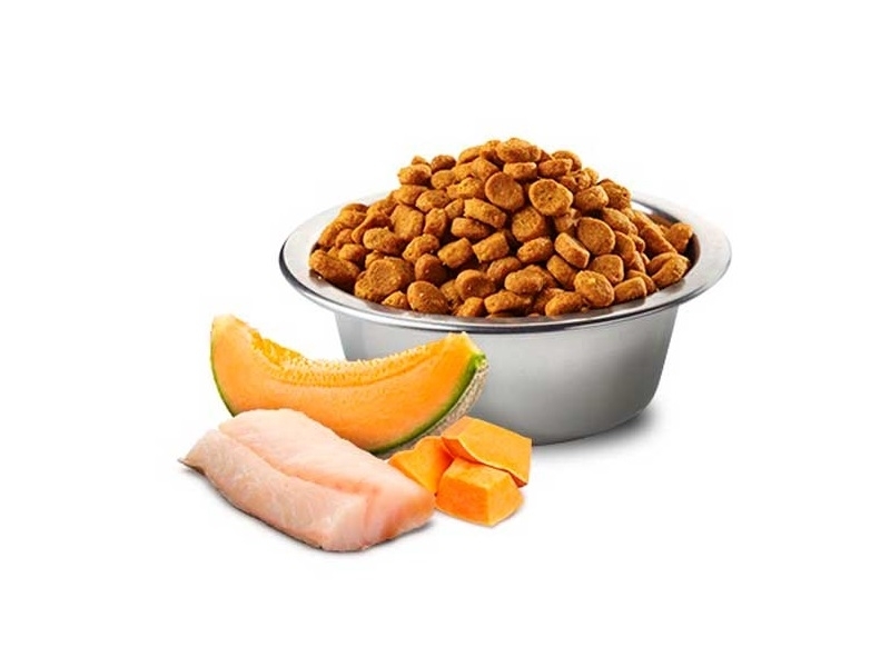 Farmina (Фарміна) N&D Ocean Cod, Pumpkin & Cantaloupe Melon Puppy Medium & Maxi - Беззерновий сухий корм з тріскою та динею для цуценят середніх і великих порід (2,5 кг) в E-ZOO