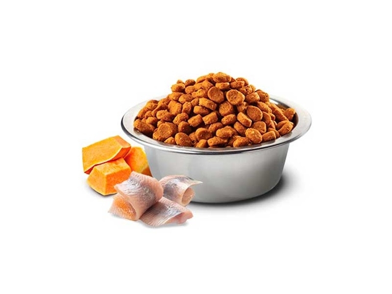 Farmina (Фарміна) N&D Ocean Cod, Pumpkin & Orange Adult Medium & Maxi – Беззерновий сухий корм з тріскою та апельсином для собак середніх і великих порід (12 кг) в E-ZOO
