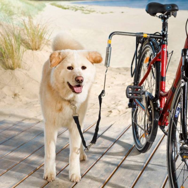 Trixie (Тріксі) Biker-Set - Кріплення на велосипед для прогулянок з собакою (50 см) в E-ZOO