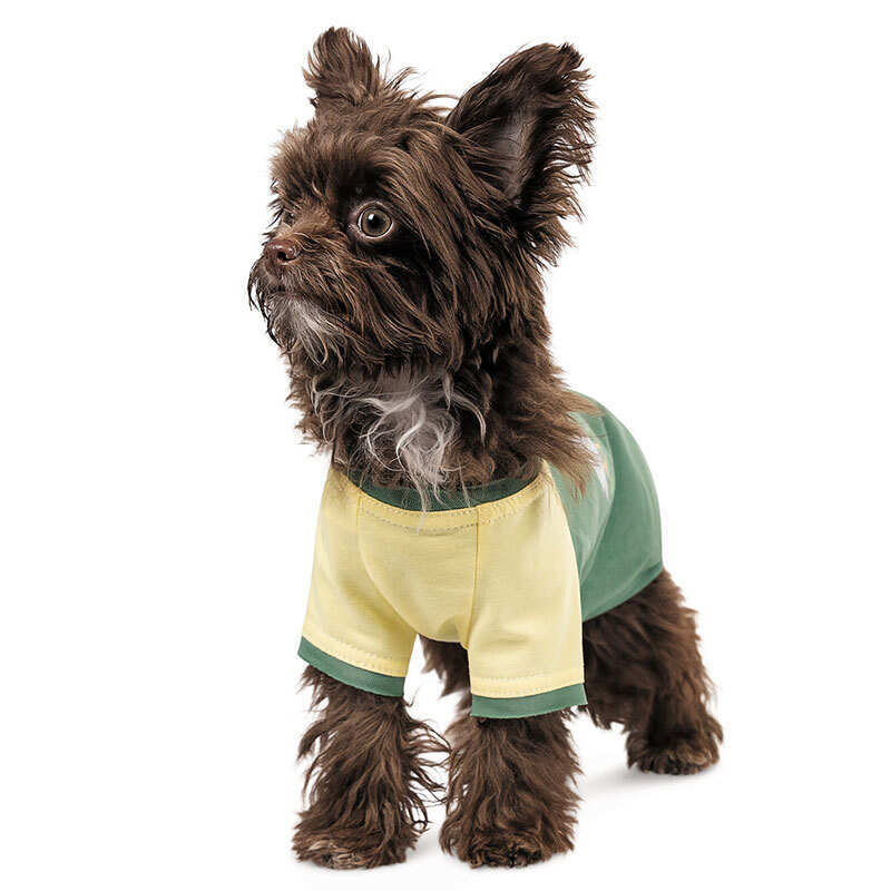 Pet Fashion (Пет Фешн) Endy - Футболка Енді кольору зеленої трави та сонця для собак (XXS (20x22 см)) в E-ZOO