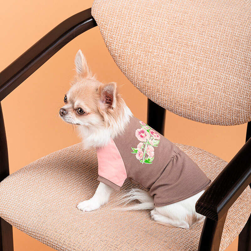 Pet Fashion (Пет Фешн) Rose - Футболка Мальва рожево-шоколадна для собак-дівчаток (XS (23х25 см)) в E-ZOO