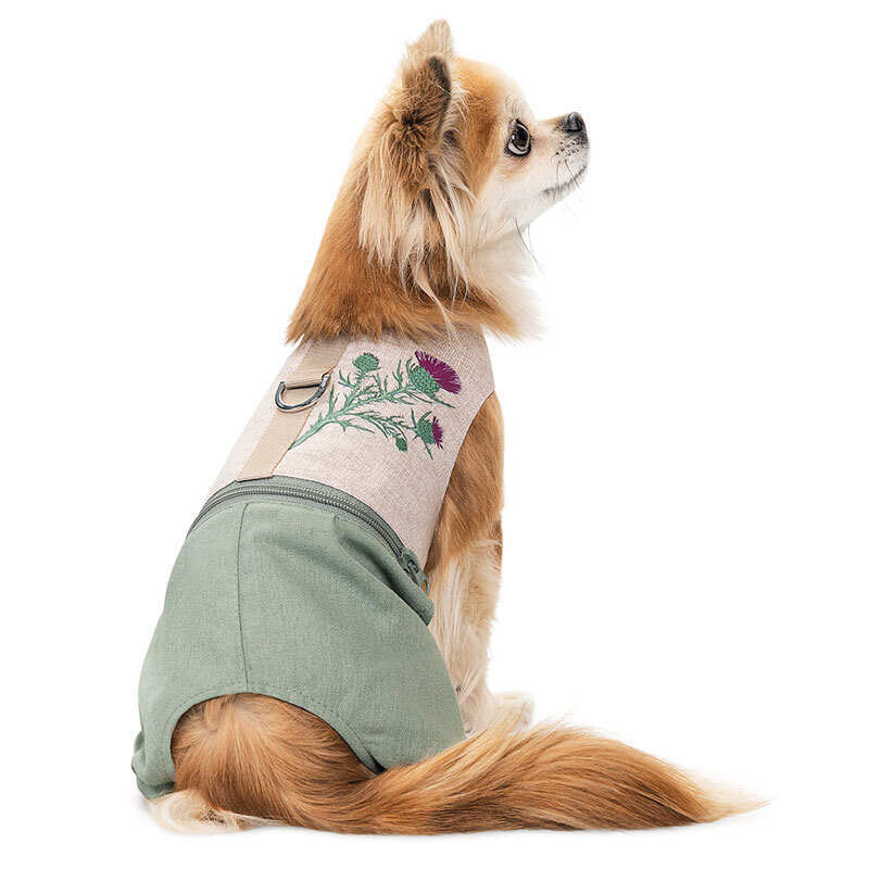 Pet Fashion (Пет Фешн) Patrik - Шлея-костюм Патрик для собак (S (30х14 см)) в E-ZOO