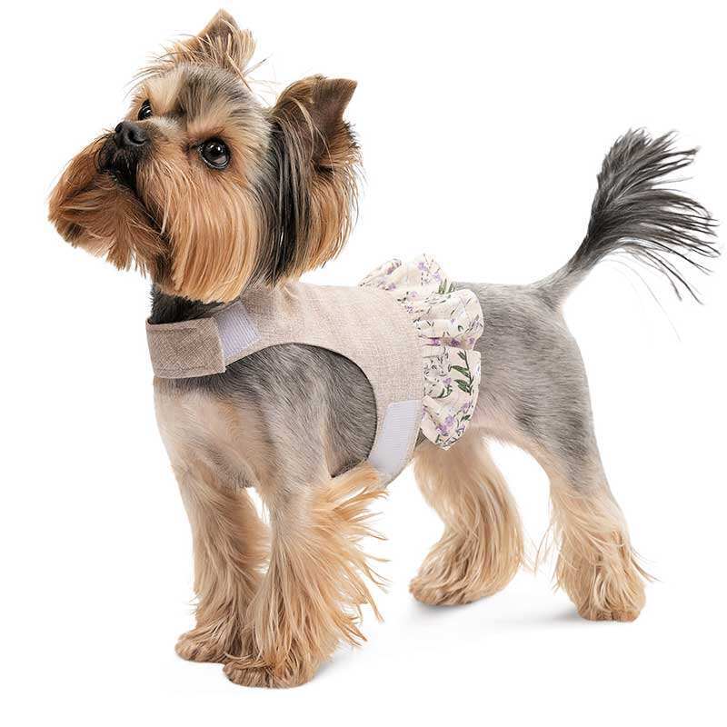 Pet Fashion (Пет Фешн) Nika - Шлея-плаття бежеве Ніка для собак-дівчаток (S (30х14 см)) в E-ZOO