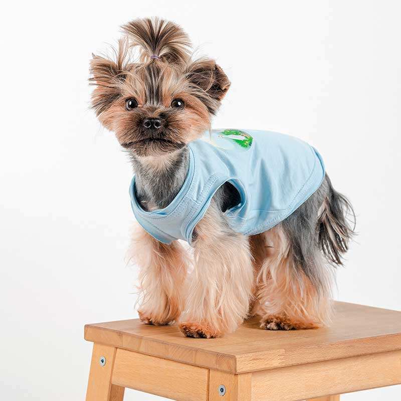 Pet Fashion (Пет Фешн) Adam - Майка Адам блакитна для собак (XS (23х25 см)) в E-ZOO