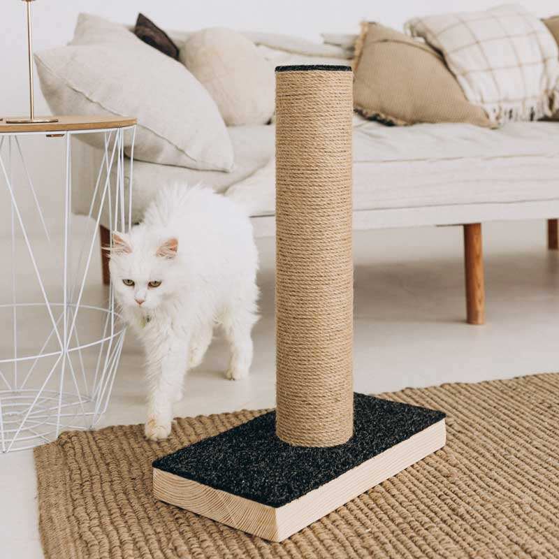 Not only pets (Нот онли петс) - Когтеточка-столбик на деревянной основе для кошек (38х20х57 см) в E-ZOO