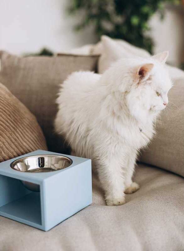 Not only pets (Нот онли петс) Куб - Миска металлическая на подставке для кошек и собак (S) в E-ZOO