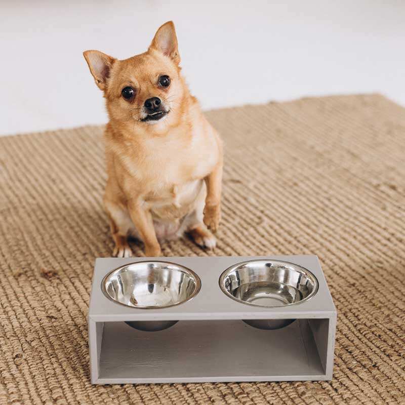 Not only pets (Нот онли петс) Basic - Миска металлическая двойная на подставке для собак (S) в E-ZOO