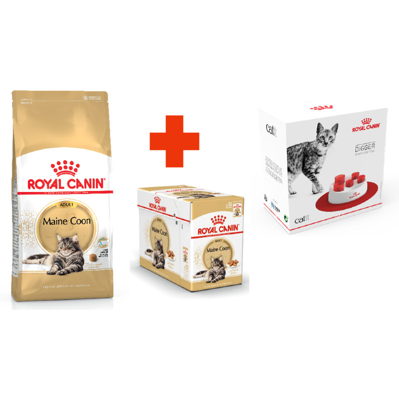 Royal Canin (Роял Канин) Maine Coon Adult - Сухой корм с птицей для ...
