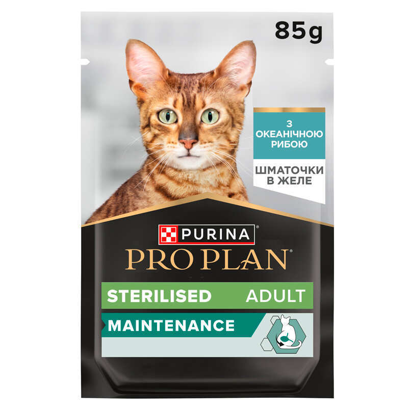 Минет жүктеп алу Порно свинг топтық секс