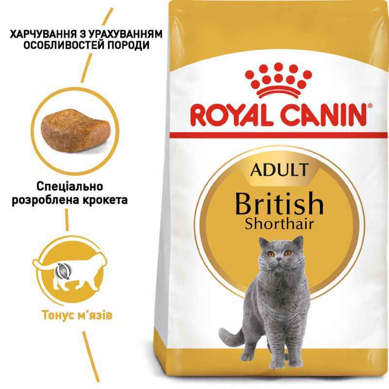 Royal Canin (Роял Канін) British Shorthair Adult - Сухий корм з птицею для дорослих Британських короткошерстих котів (400 г) в E-ZOO