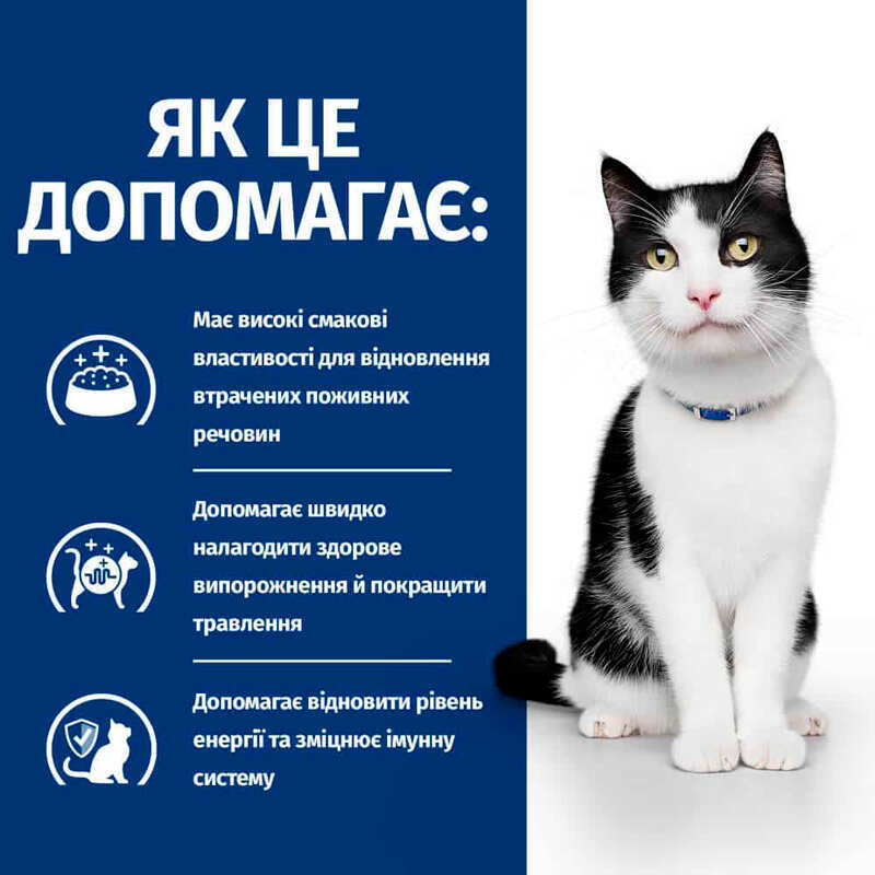 Hill’s Prescription Diet i/d Digestive Care Salmon - Вологий корм з лососем для кішок, що сприяє підтримці здоров'я ШКТ (85 г) в E-ZOO