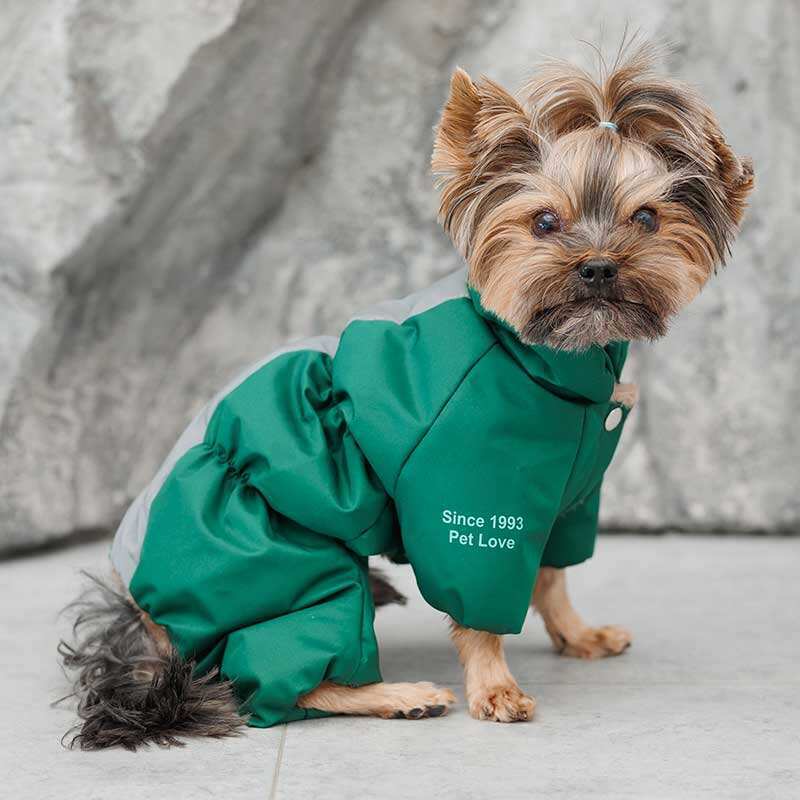 Pet Fashion (Пет Фешн) EGO - Комбінезон Его для собак (ХS (35х20 см)) в E-ZOO