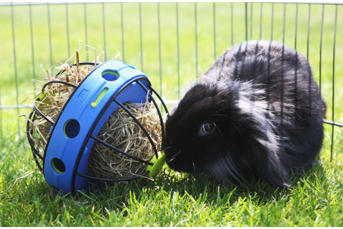 Savic (Савик) Bunny Toy - Колесо - кормушка для сена и лакомств для грызунов - Фото 7