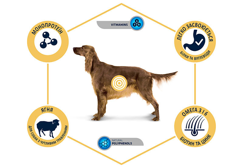 Advance (Эдванс) Dog Sensitive Lamb - Корм с ягненком для взрослых собак с чувствительным пищеварением - Фото 2