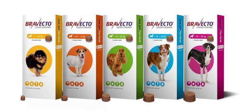 Bravecto (Бравекто) by MSD Animal Health - Противопаразитарные жевательные таблетки от блох и клещей для собак (1 таблетка) (4,5-10 кг) в E-ZOO