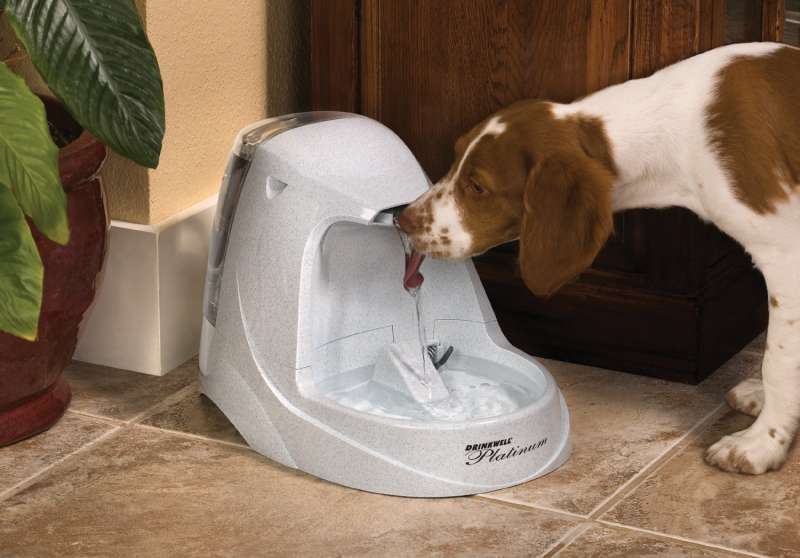 PetSafe (ПетСейф) Drinkwell Platinum Pet Fountain - Автоматический фонтанчик - поилка для собак - Фото 9