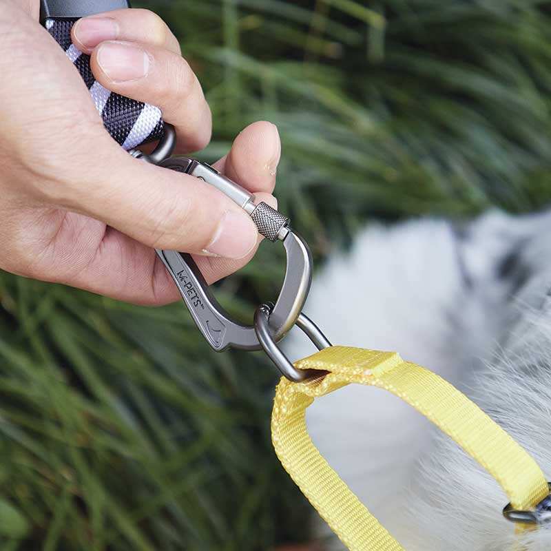 M-Pets Wild Safari Collar Dog - Ошейник с принтом сафари для маленьких, средних и крупных пород собак (S/1,5x22-30 см) в E-ZOO
