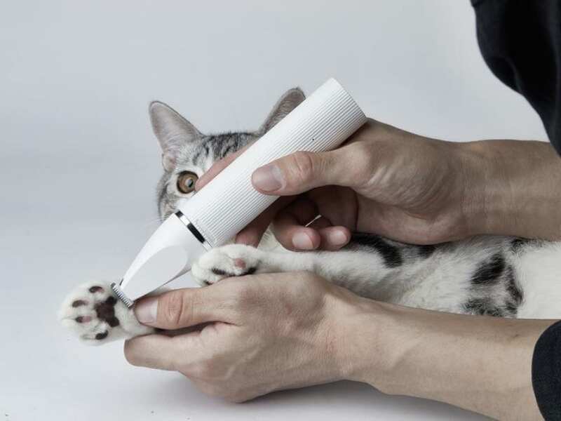 PETKIT 2IN1 Pet Trimmer Pro - Професійний тример 2 в 1 для стрижки тварин (16х3х3 см) в E-ZOO