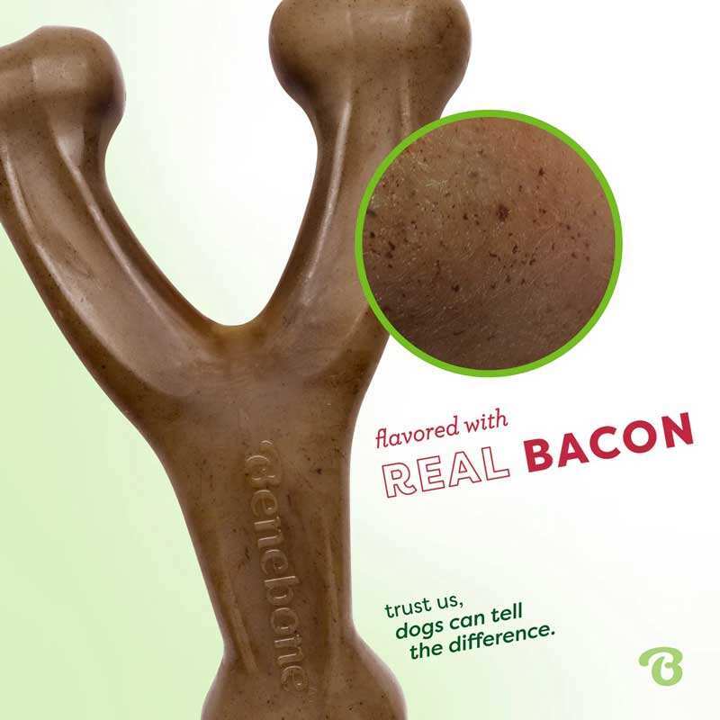 Benebone Tiny 2-Pack - Набор жевательных игрушек Рычаг+Дентал со вкусом бекона для собак мелких пород (Tiny / 2 шт.) в E-ZOO