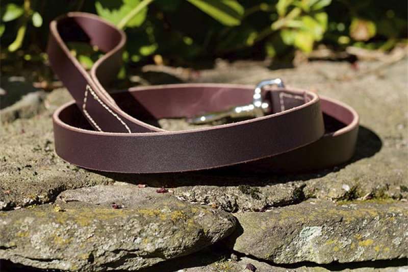 Coastal (Костал) Circle-T Latigo Leather - Поводок кожаный для собак (2,5x180 см) в E-ZOO