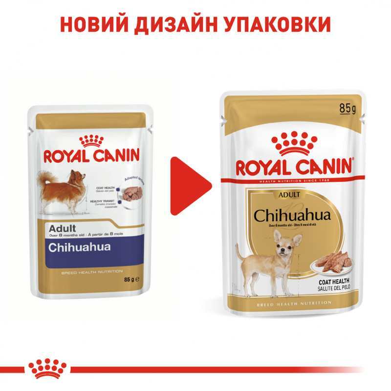 Royal Canin (Роял Канін) Chihuahua Adult - Вологий корм для дорослих собак породи Чіхуахуа (паштет) (85 г) в E-ZOO