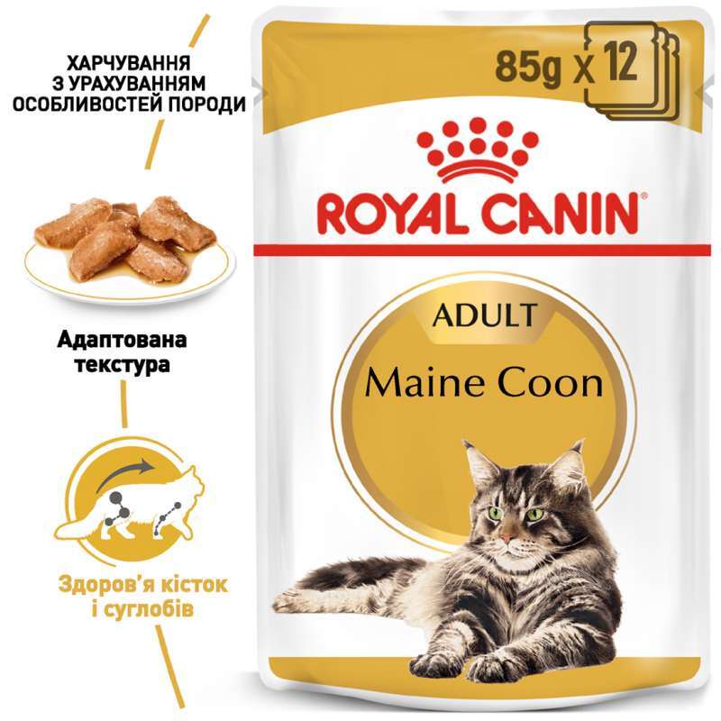 Royal Canin (Роял Канін) Maine Coon Adult - Консервований корм для дорослих котів породи Мейн-Кун (шматочки в соусі) (85 г) в E-ZOO