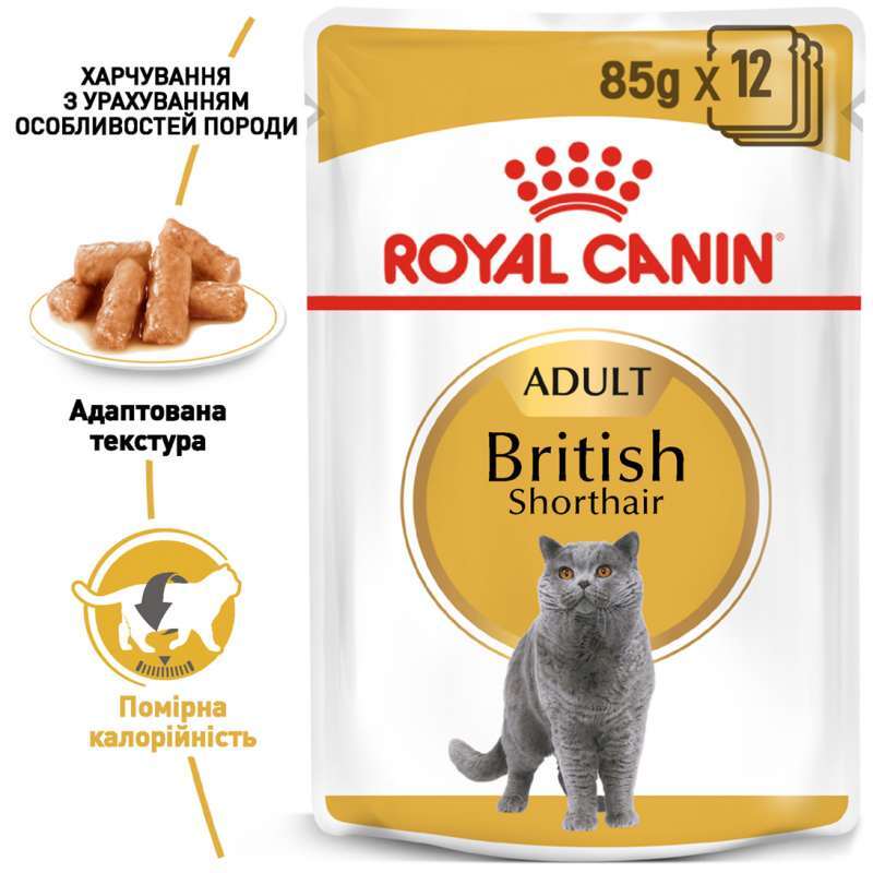 Royal Canin (Роял Канін) British Shorthair Adult - Консервований корм для дорослих котів породи Британська короткошерста (шматочки в підливі) (85 г) в E-ZOO