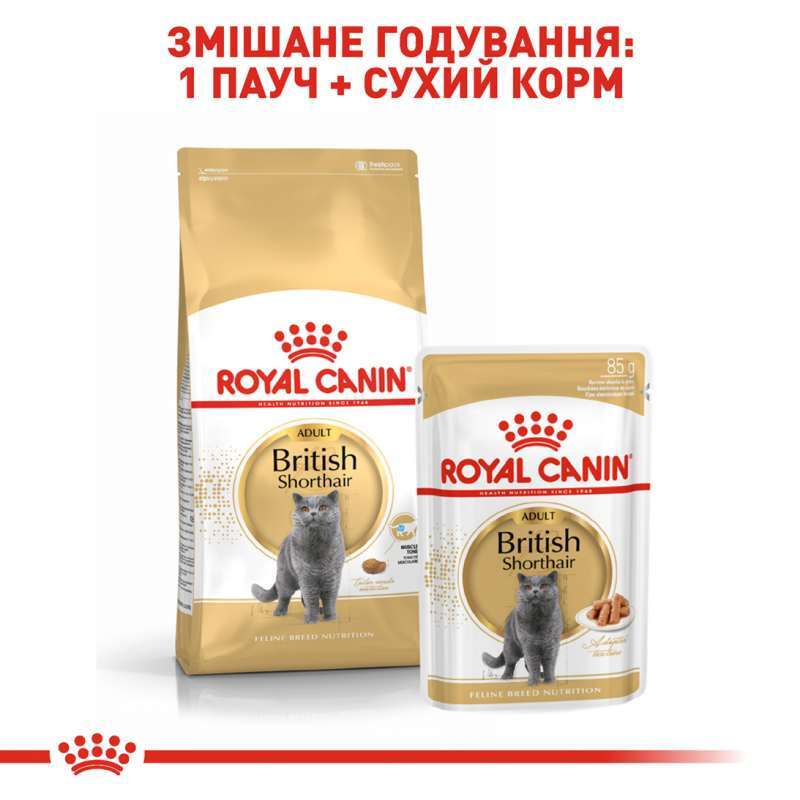Royal Canin (Роял Канін) British Shorthair Adult - Консервований корм для дорослих котів породи Британська короткошерста (шматочки в підливі) (85 г) в E-ZOO
