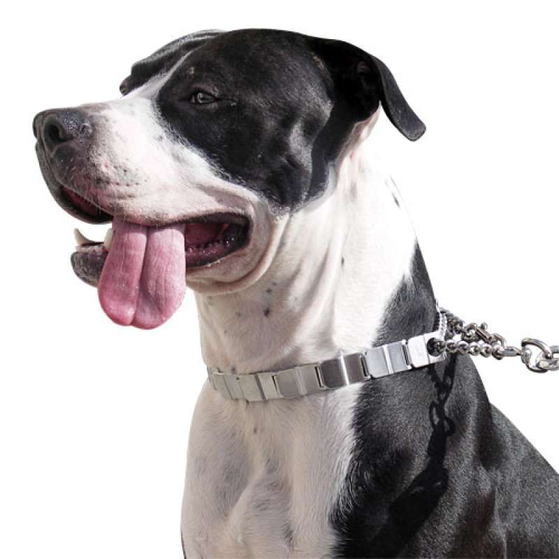 Sprenger (Шпренгер) NECK-TECH FUN - Строгий ошейник для собак, пластинчатый, с цилиндрическим карабином в E-ZOO