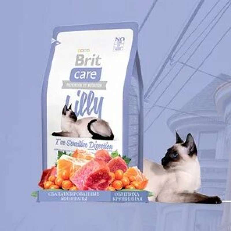 Brit Care (Бріт Кеа) Lilly - Сухий корм з ягням і лососем для дорослих котів з чутливим травленням (400 г) в E-ZOO