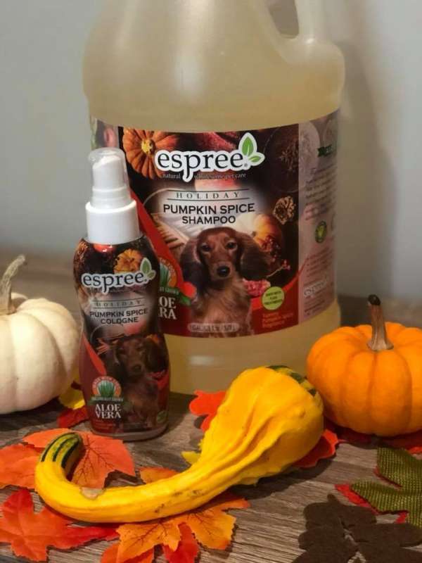 Espree (Эспри) Pumpkin Spice Shampoo - Шампунь с ароматом пряной тыквы для собак (355 мл) в E-ZOO