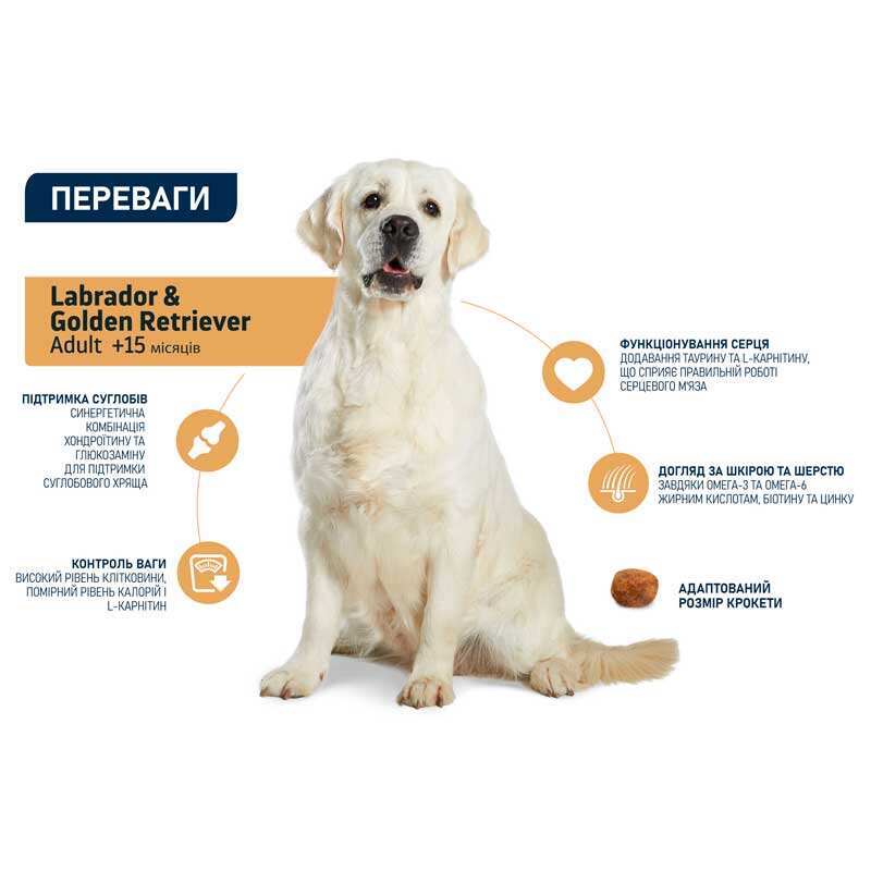 Advance (Эдванс) Dog Labrador&Golden retriever Chicken - Корм с курицей для собак породы лабрадор / ретривер (11,5 кг) в E-ZOO