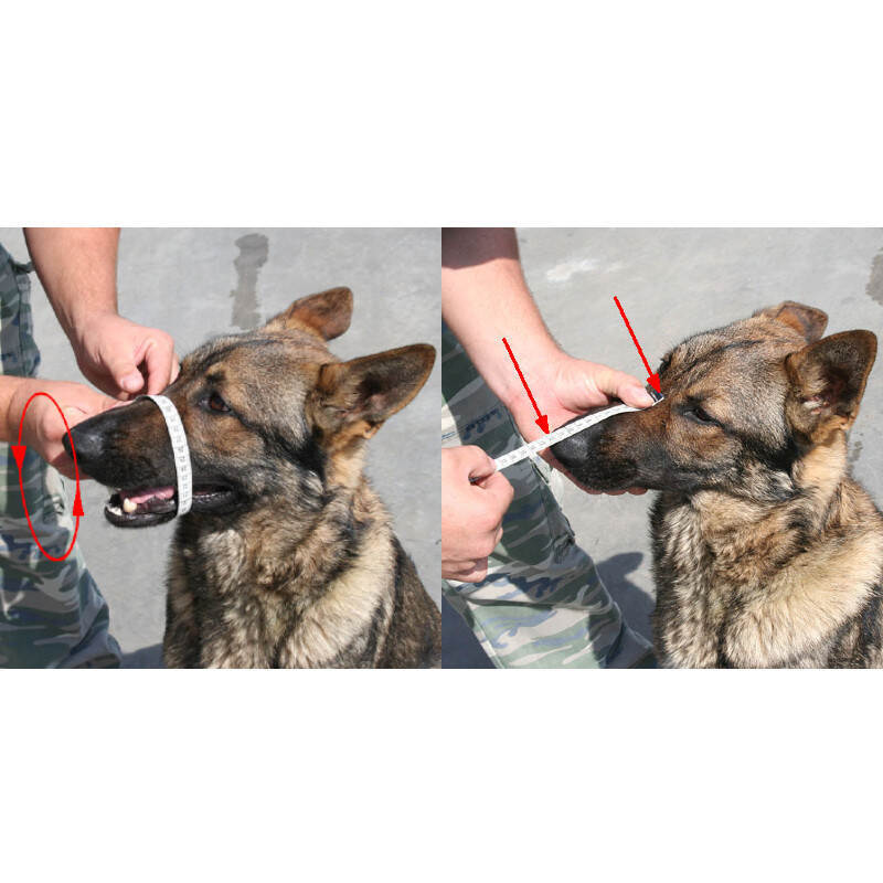 Trixie (Тріксі) - Пластиковий намордник для собак (26 см) в E-ZOO