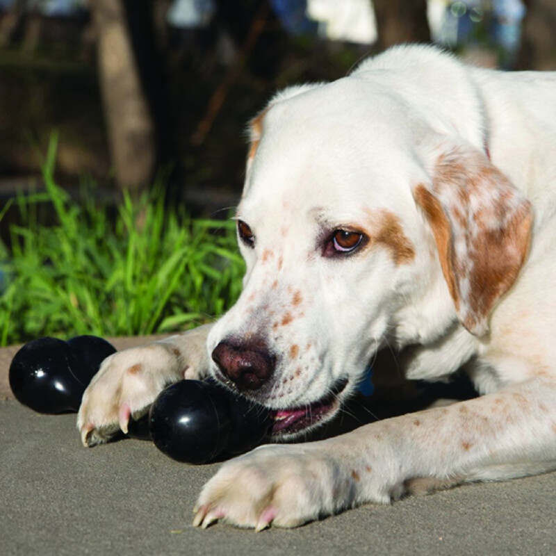KONG (Конг) Extreme Goodie Bone - КОСТОЧКА игрушка для собак (M) в E-ZOO