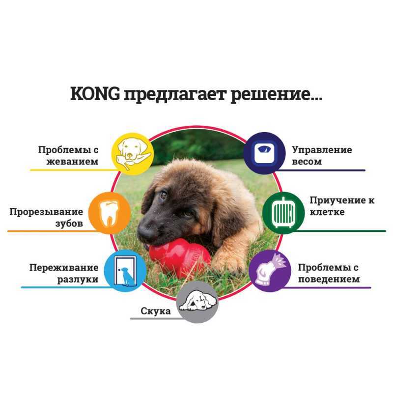 KONG (Конг ) Puppy - Игрушка для щенков (M) в E-ZOO