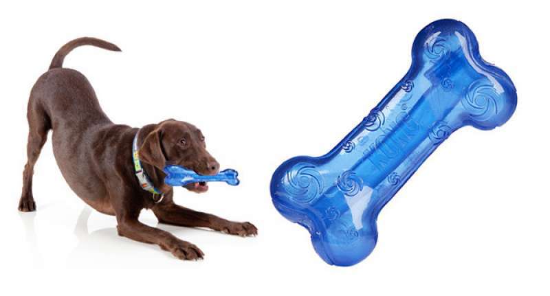 KONG (Конг) Squeezz - Іграшка для собак Кісточка (M ) в E-ZOO