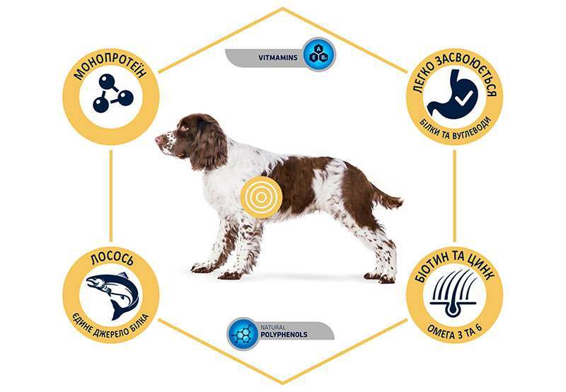 Advance (Едванс) Dog Sensitive Medium / Maxi Salmon - Сухий корм з лососем для собак з чутливим травленням (3 кг) в E-ZOO
