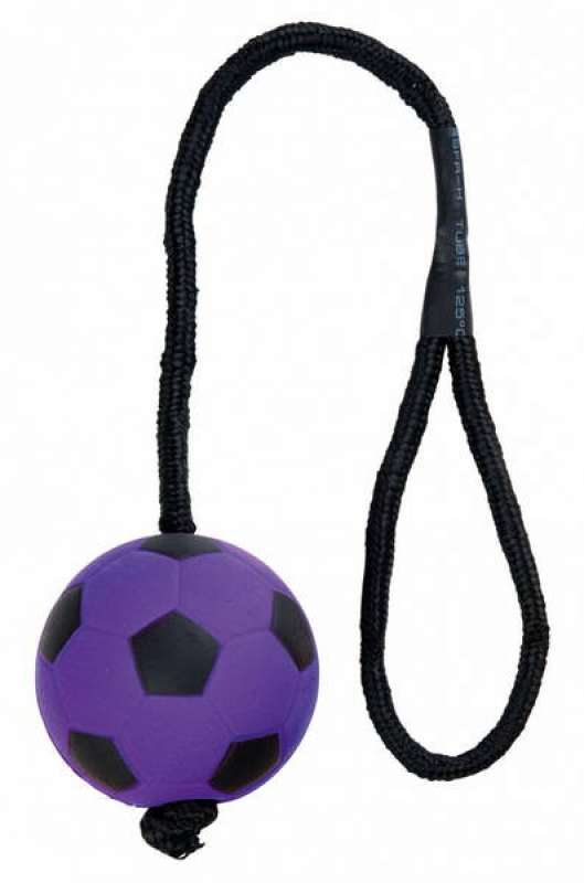Trixie (Тріксі) М'яч з ручкою для собак, плаваючий (30 см/Ø6 см) в E-ZOO