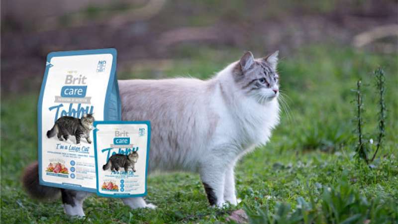 Brit Care (Бріт Кеа) Cat Tobby - Сухий корм з качкою і куркою для дорослих котів великих порід (2 кг) в E-ZOO