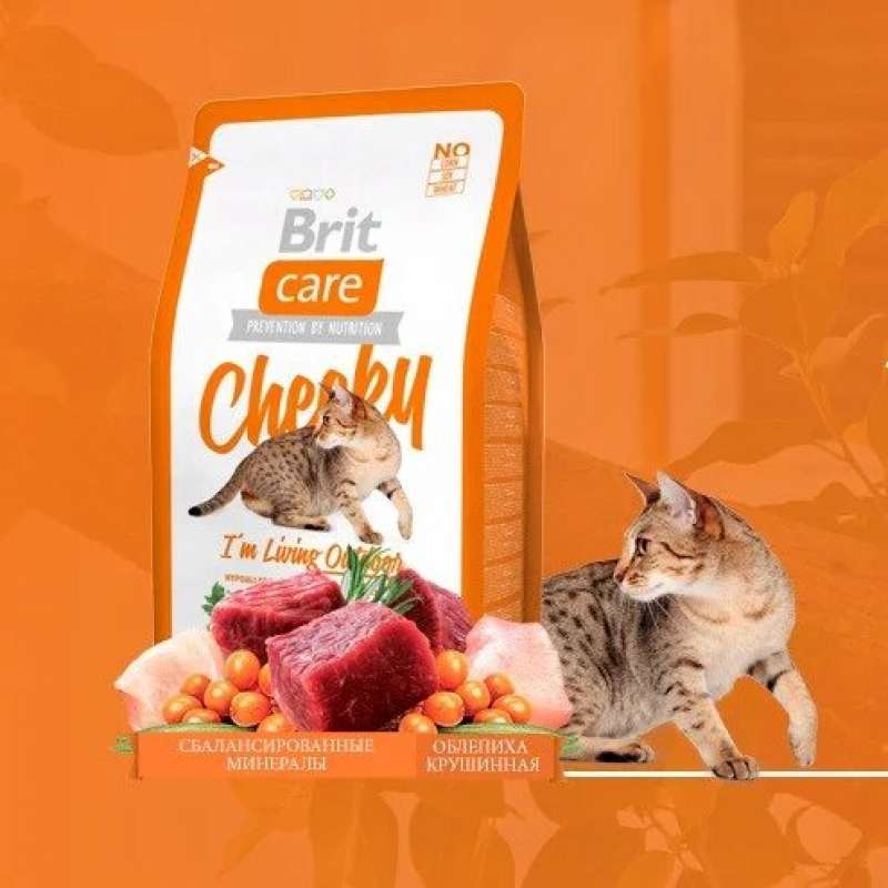 Brit Care (Бріт Кеа) Cat Cheeky - Сухий корм з олениною та рисом для дорослих котів, які мешкають на вулиці (2 кг) в E-ZOO