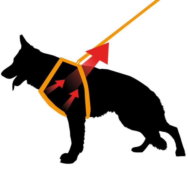 Ferplast (Ферпласт) Ergoflex P Fashion - Шлея для собак з полімеру (XS) в E-ZOO