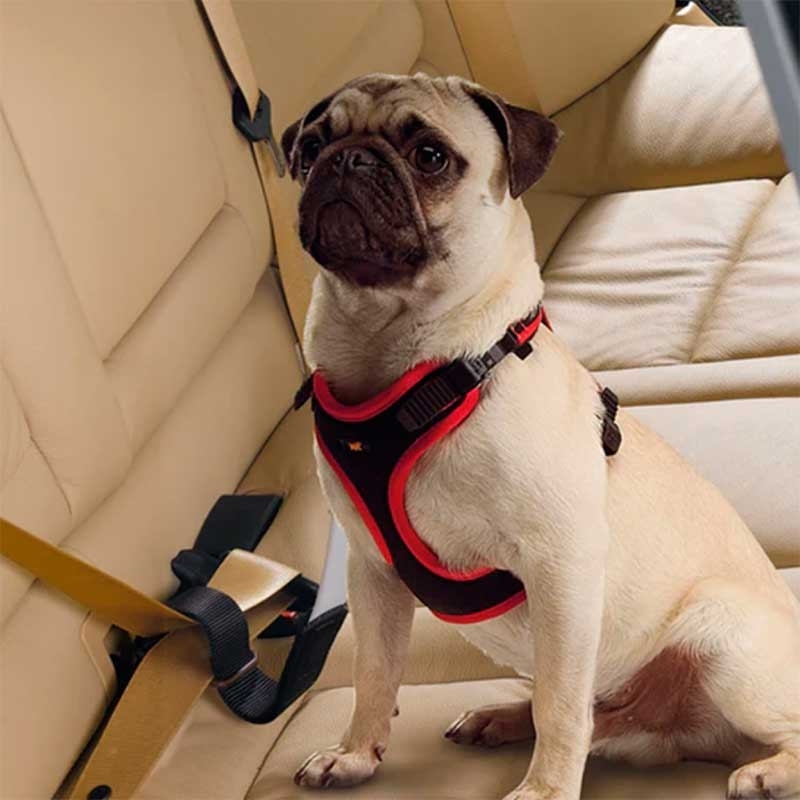 Ferplast (Ферпласт) Dog Travel Belt - Ремінь безпеки для собак в авто (4х50 см) в E-ZOO