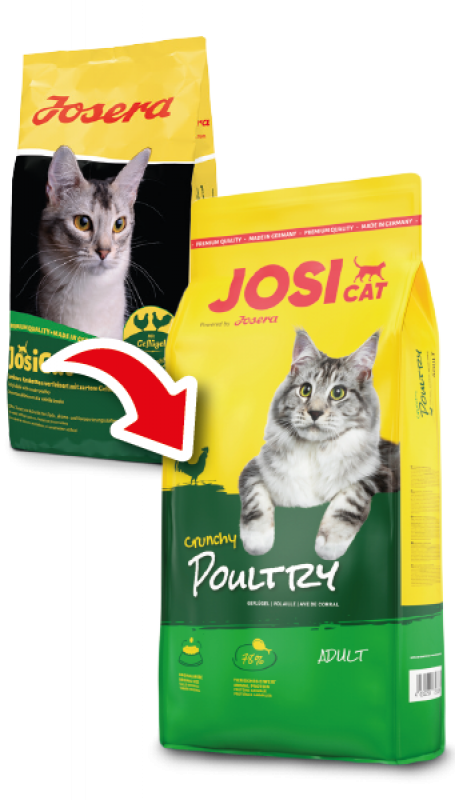 JosiCat (ЙозіКет) by Josera Crunchy Chicken - Сухий корм з ніжним м'ясом домашньої птиці для котів (10 кг) в E-ZOO