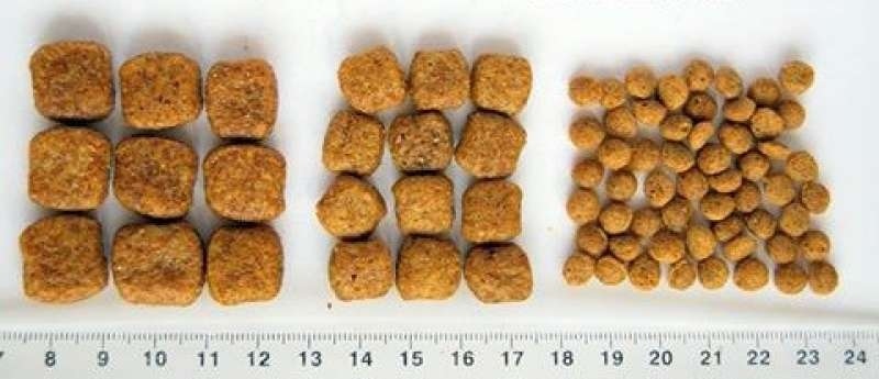 Home Food (Хоум Фуд) Гипоаллергенный сухой корм «Форель с рисом» для щенков собак различных пород (3 кг) в E-ZOO