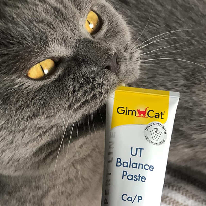 GimCat (ДжимКет) Expert Line UT Balance - Паста для профілактики сечокам'яних хвороб у котів (50 г) в E-ZOO