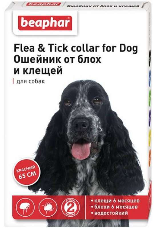 Beaphar (Беафар) Flea&Tick Collar for Dogs - Ошейник от блох и клещей для собак (цветной) (65 см Sale!) в E-ZOO