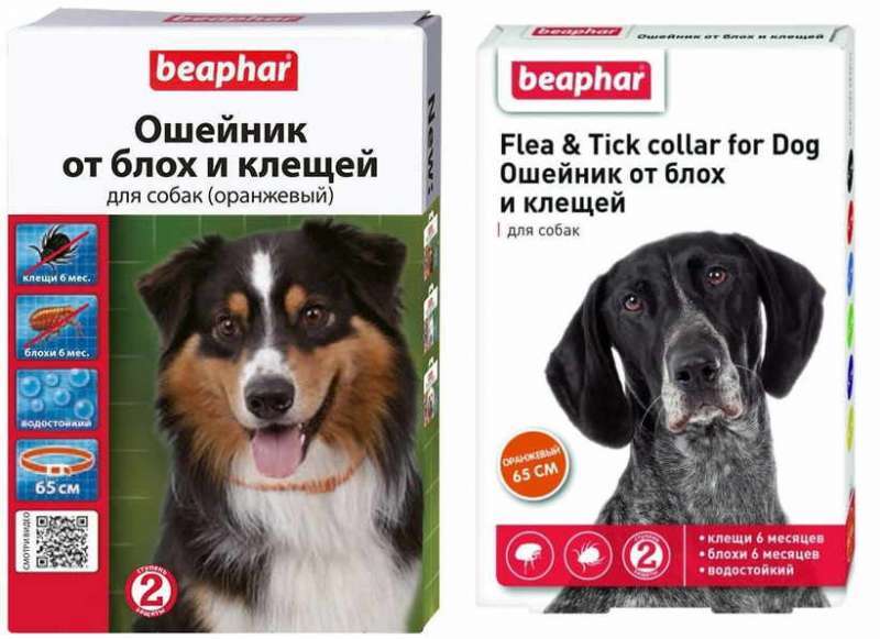 Beaphar (Беафар) Flea & Tick Collar for Dogs - Нашийник від бліх та кліщів для собак (кольоровий) (65 см) в E-ZOO