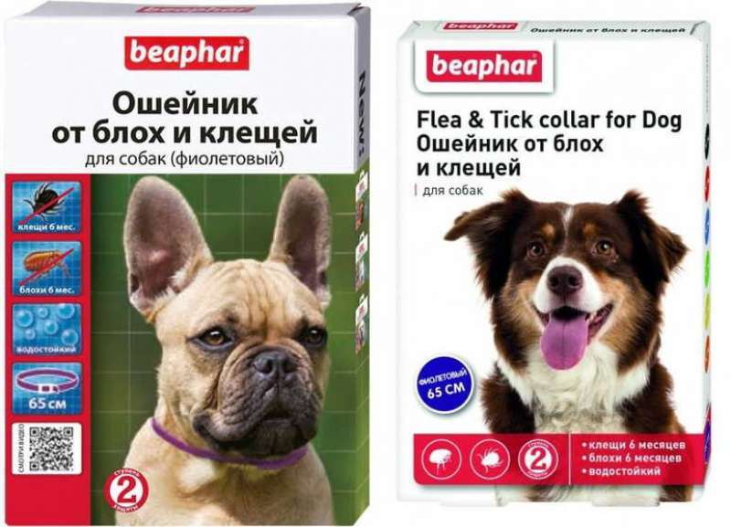 Beaphar (Беафар) Flea&Tick Collar for Dogs - Ошейник от блох и клещей для собак (цветной) (65 см Sale!) в E-ZOO