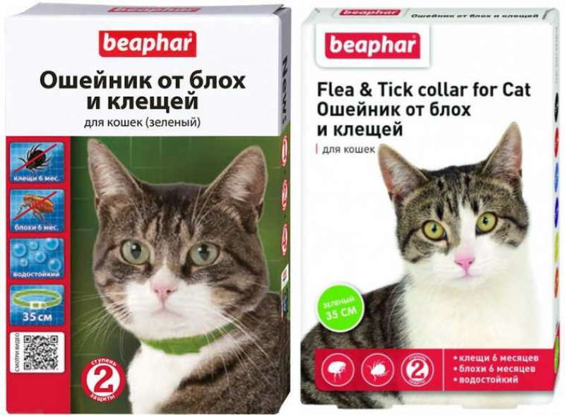 Beaphar (Беафар) Flea & Tick Collar for Cats - Нашийник від бліх та кліщів для котів (кольоровий) (35 см) в E-ZOO