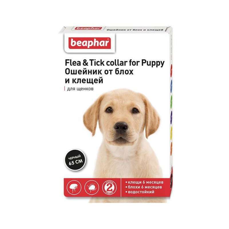 Beaphar (Беафар) Flea & Tick Collar for Puppy - Нашийник від бліх та кліщів для цуценят (65 см) в E-ZOO